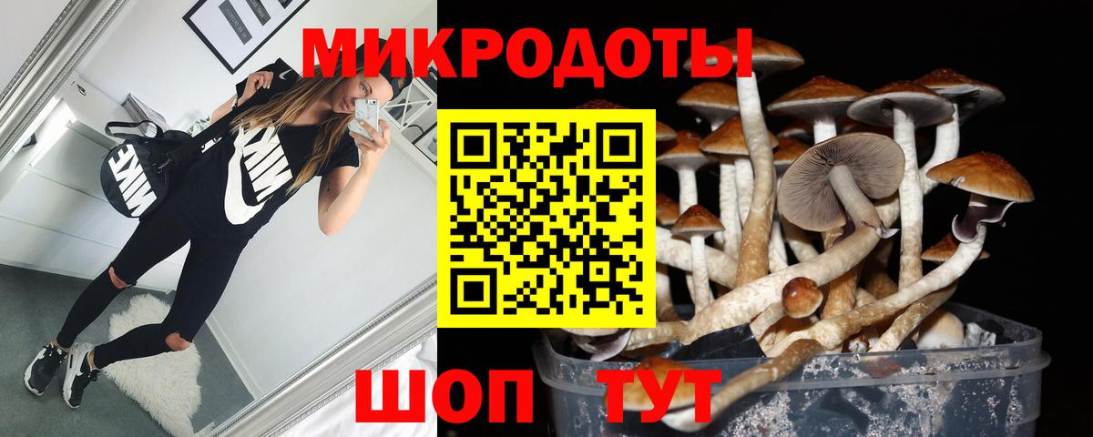 Псилоцибиновые грибы GOLDEN TEACHER  Вход с VPN  Отрадный 