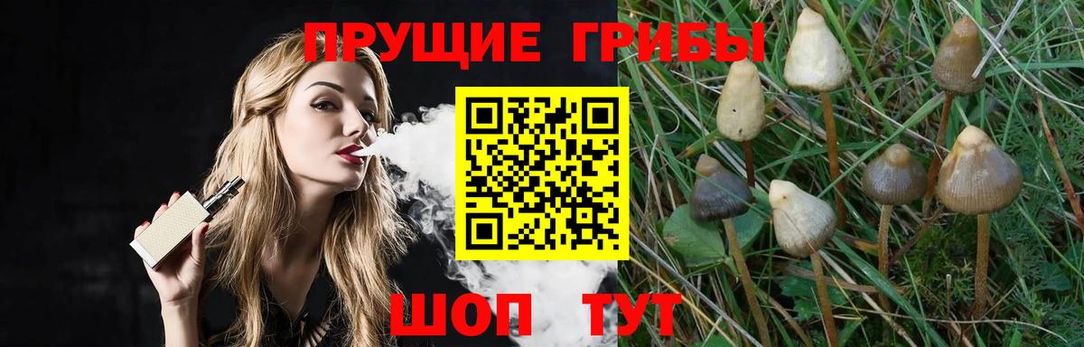 Псилоцибиновые грибы мухоморы Отрадный